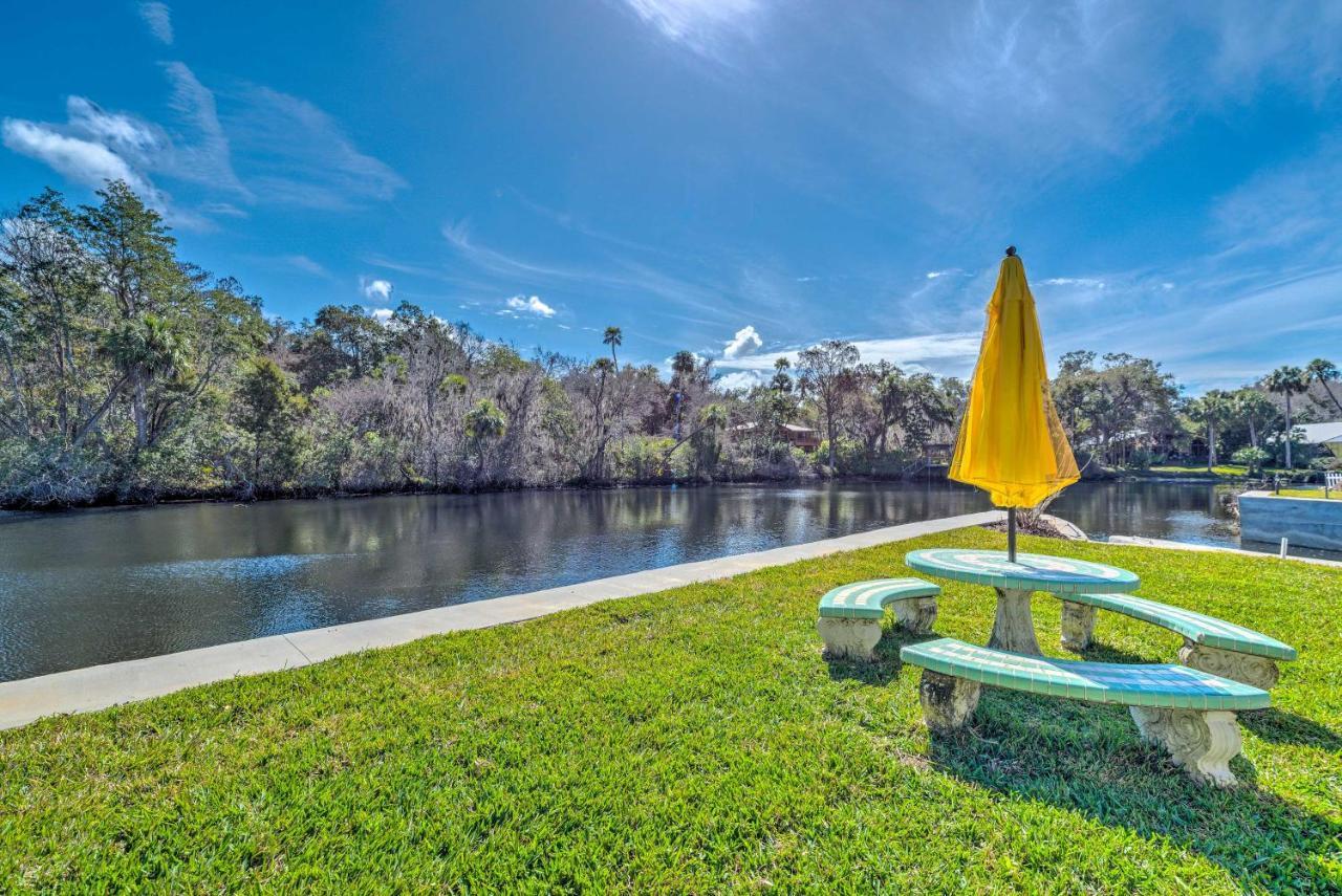 Vila Withlacoochee River House With Dock And Kayaks! Yankeetown Exteriér fotografie