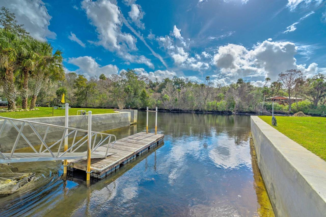 Vila Withlacoochee River House With Dock And Kayaks! Yankeetown Exteriér fotografie